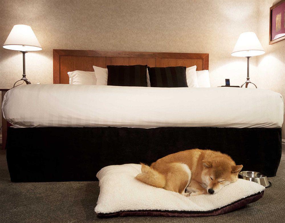 ซัมมิต ลอดจ์ บูทิก โฮเต็ล วิสต์เลอร์ Hotel ภายนอก รูปภาพ